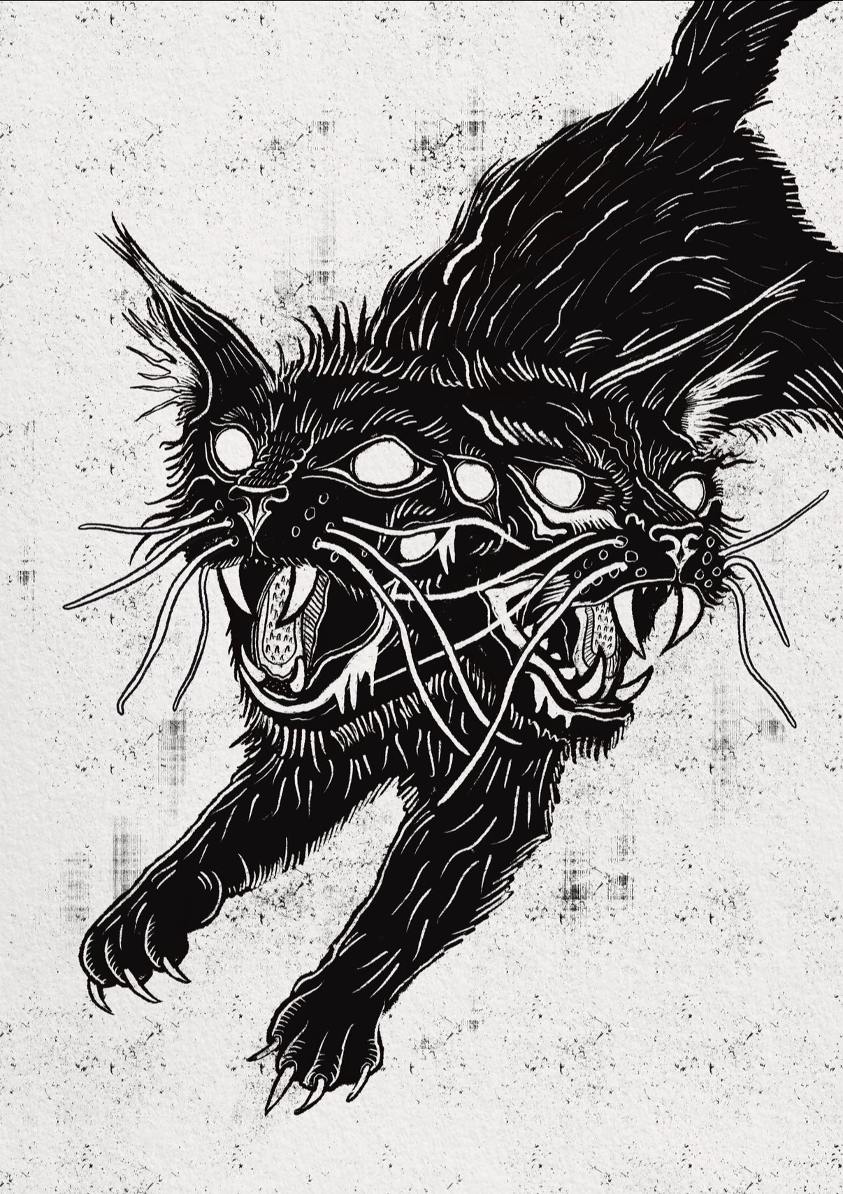 Two headed cat print