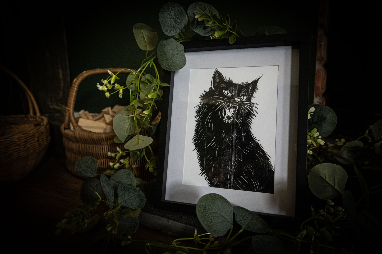 Black cat