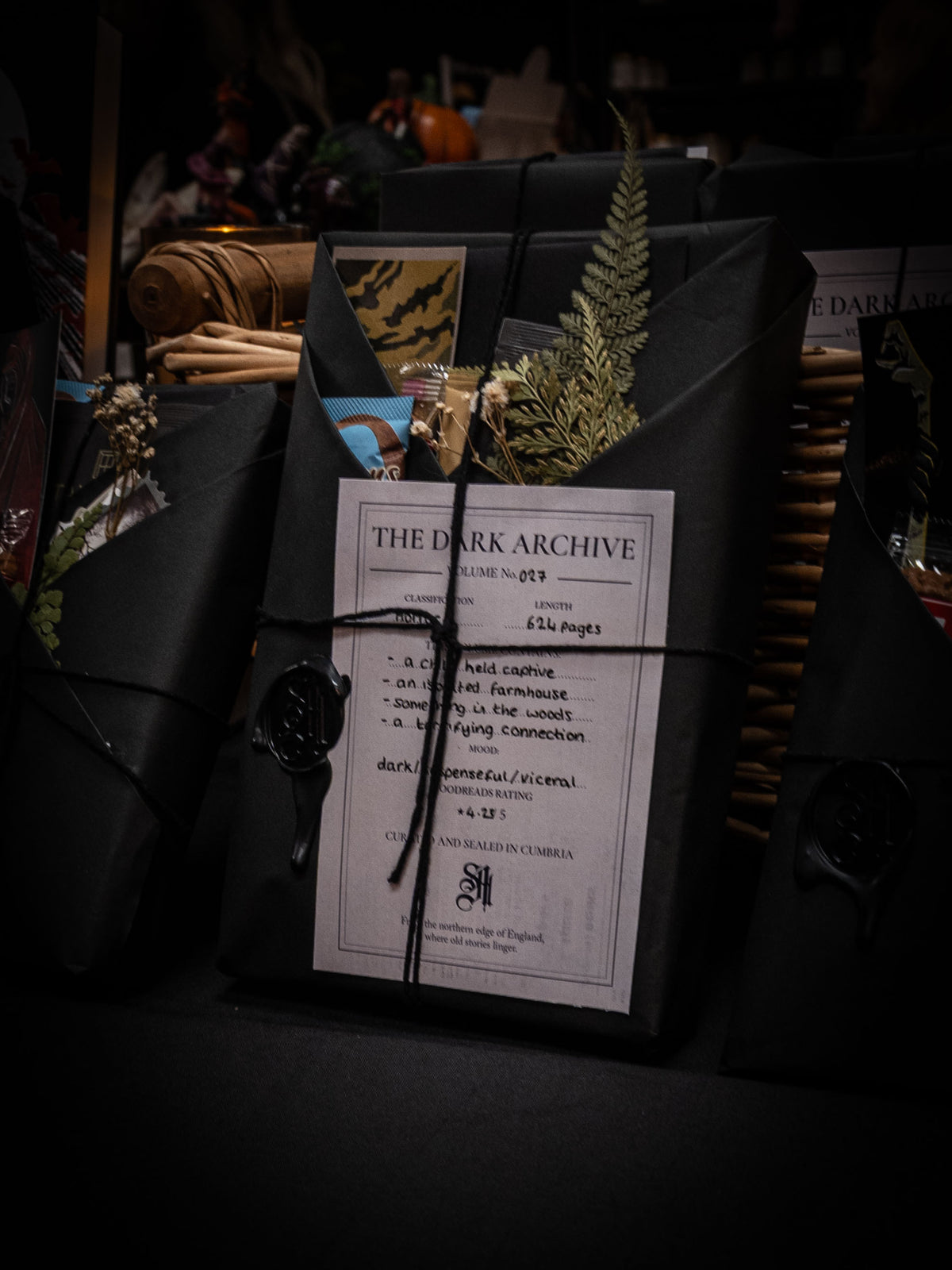 Volume No. 018 | Grimdark Fantasy | Debt-Ridden Thief • Goblins • Dangerous Magic
