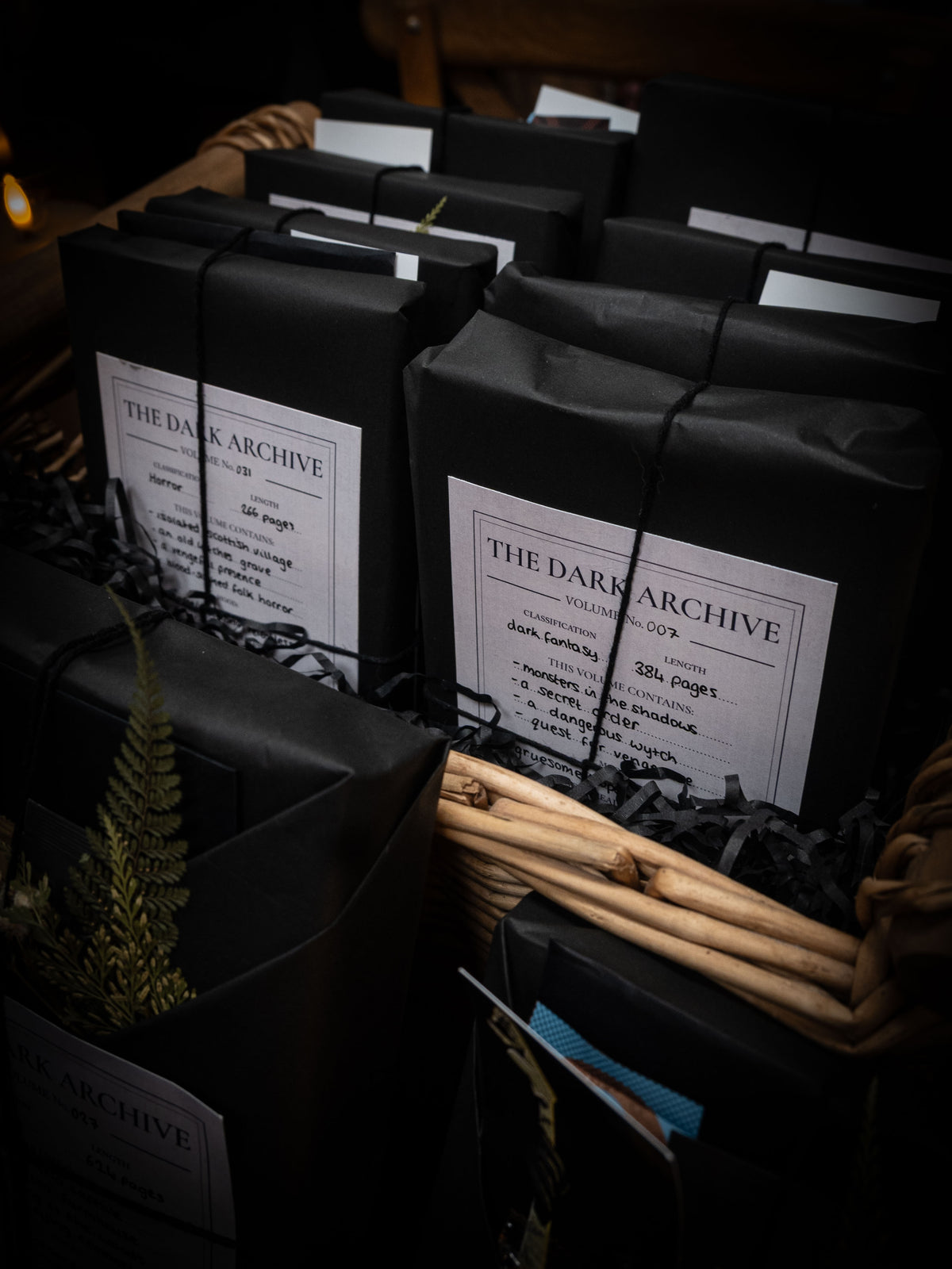 The Dark Archive, Dark Fantasy, Cosmic Horror, Horror, Supernatural Fantasy, Mystery Book, Blind Date With a Book
