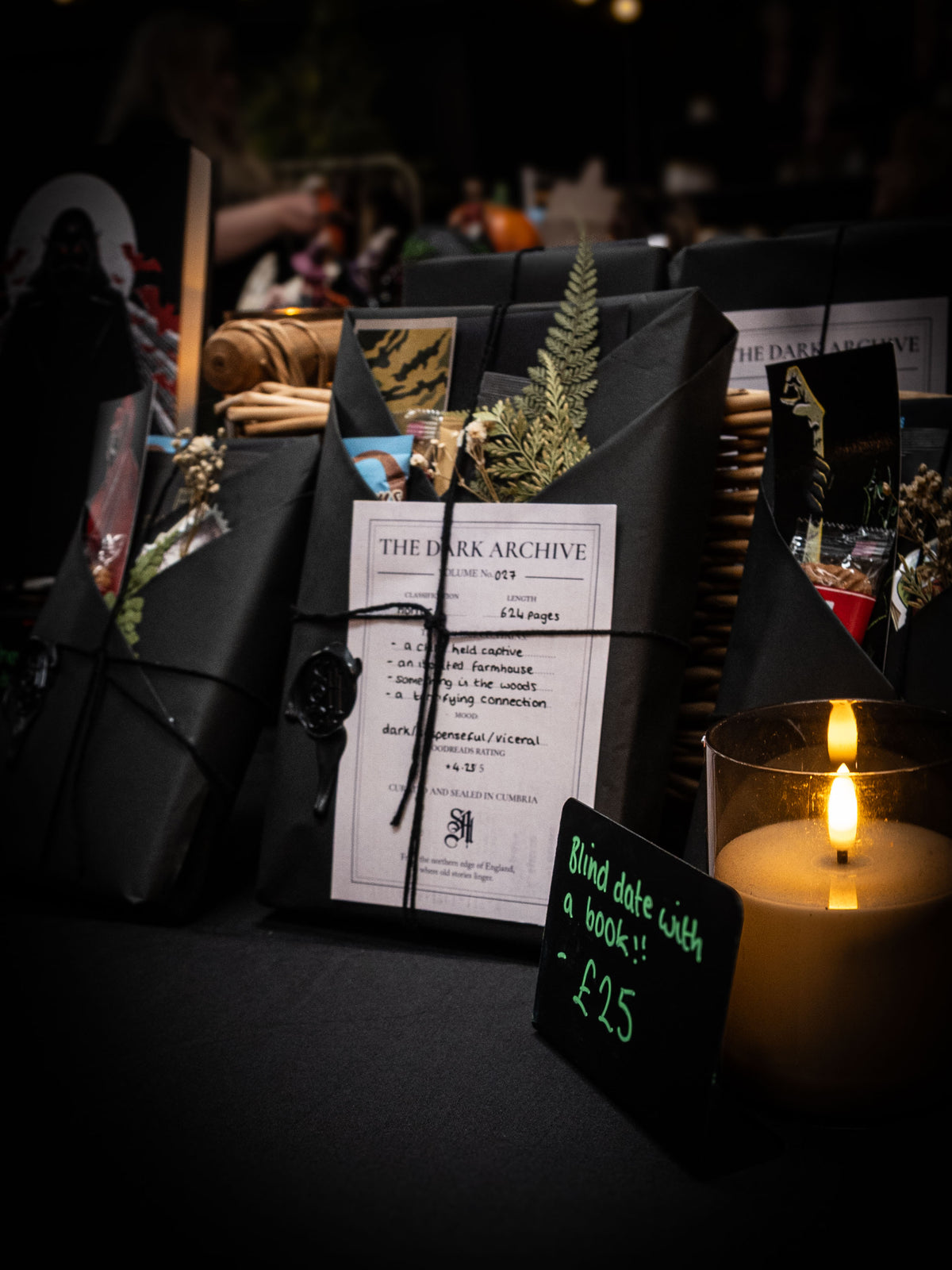 The Dark Archive, Dark Fantasy, Cosmic Horror, Horror, Supernatural Fantasy, Mystery Book, Blind Date With a Book