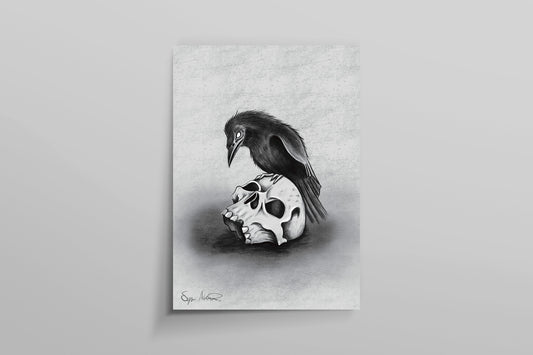 Skull & Raven Sketch