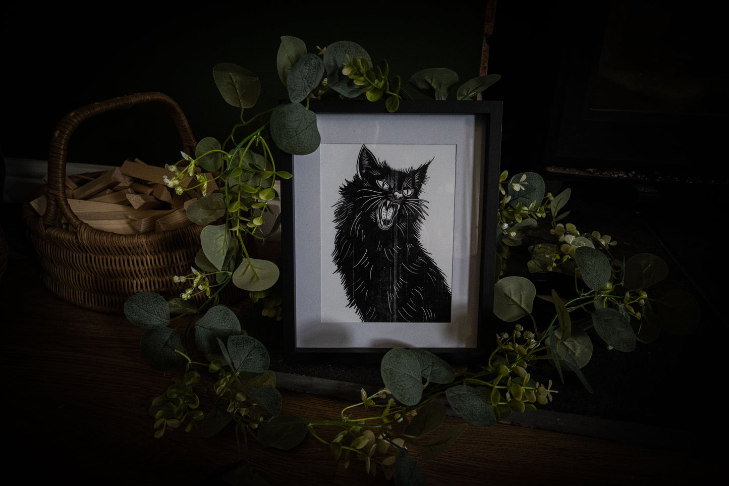 Black cat