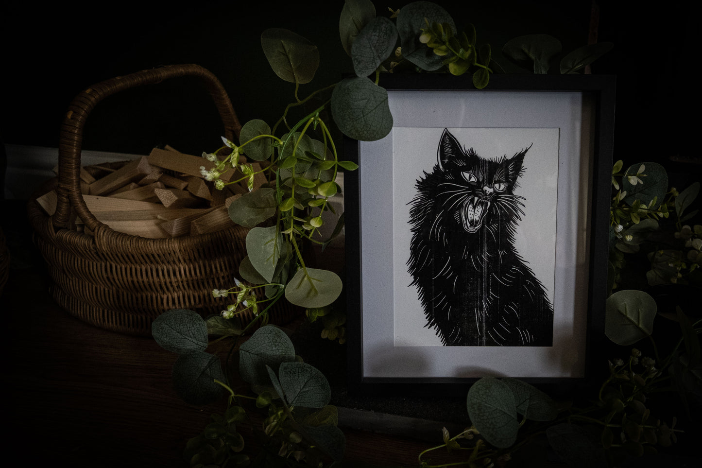 Black cat