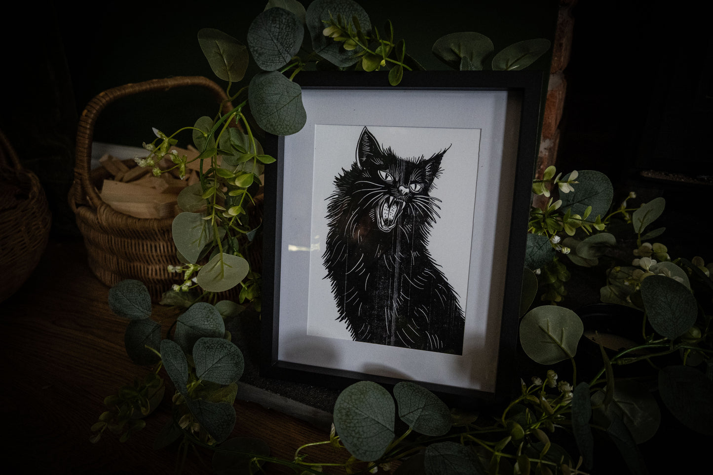 Black cat