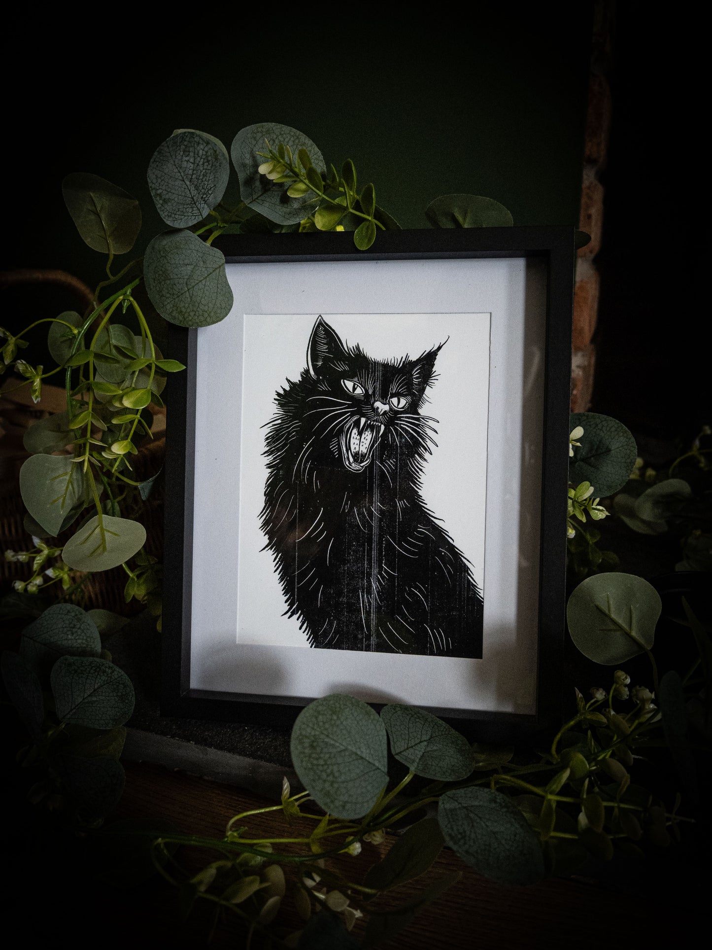Black cat