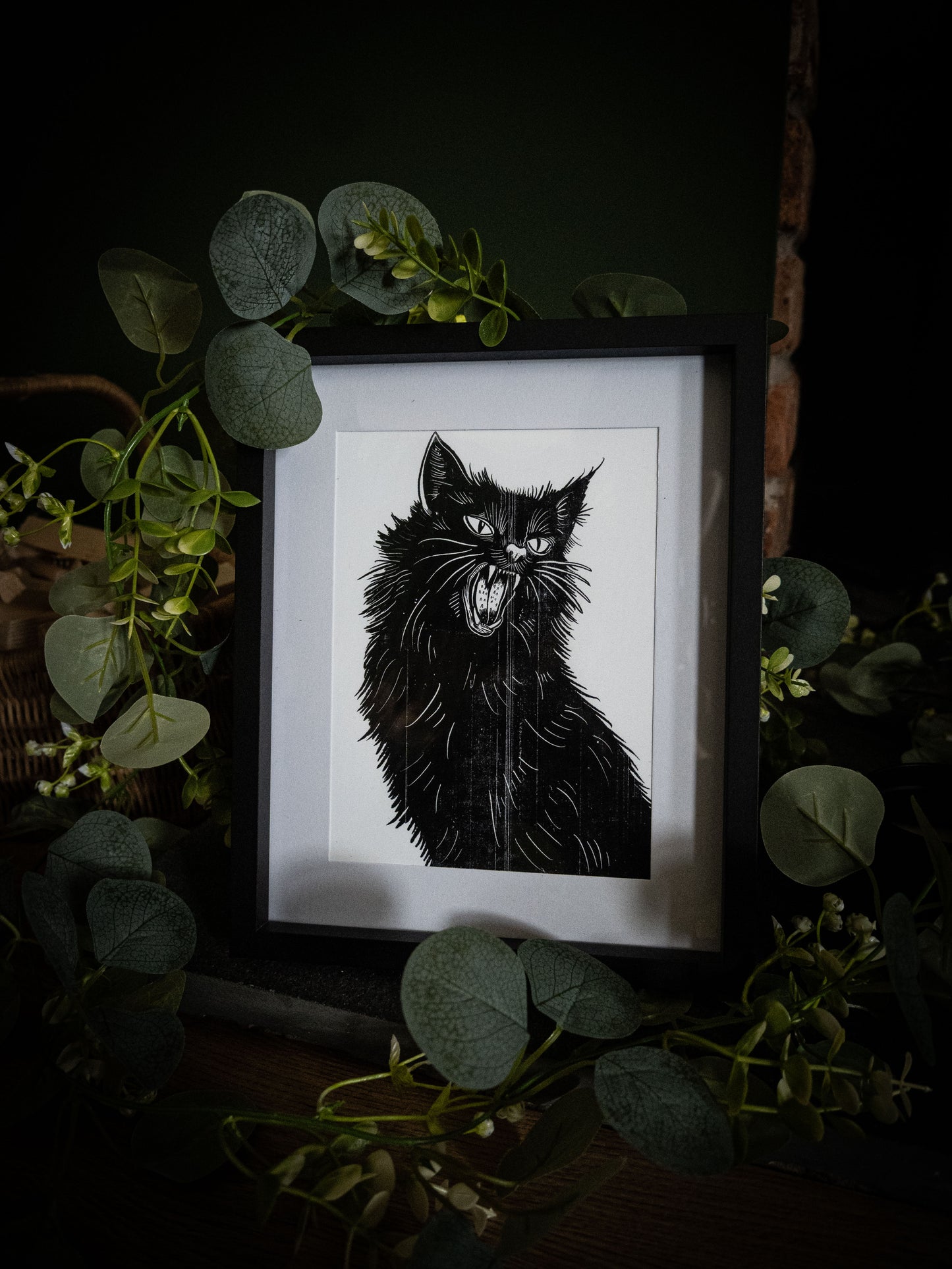 Black cat