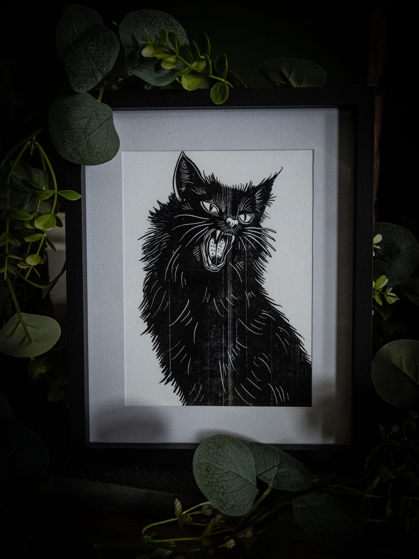 Black cat