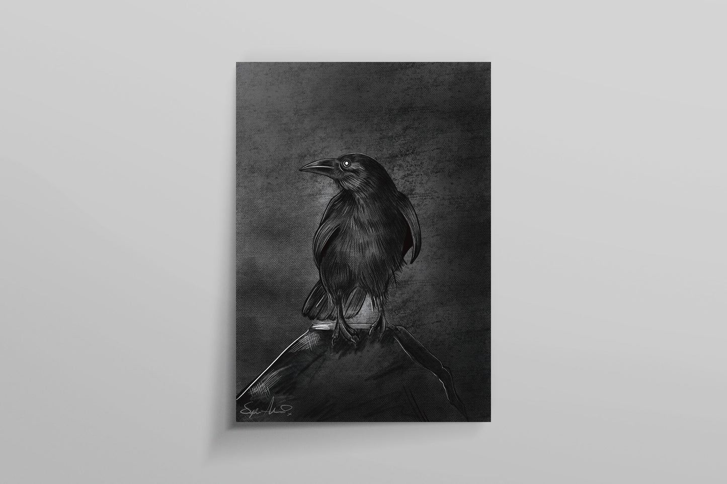 Raven on a rock Sketch