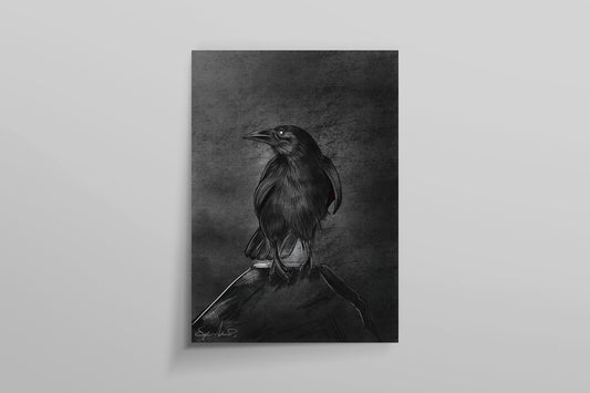 Raven on a rock Sketch